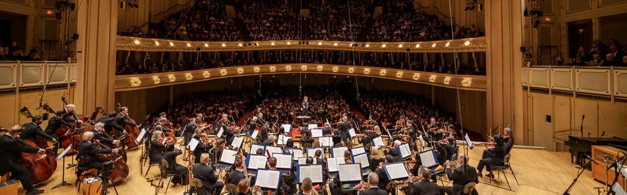 Veiw of the orchestra playing from the terrace